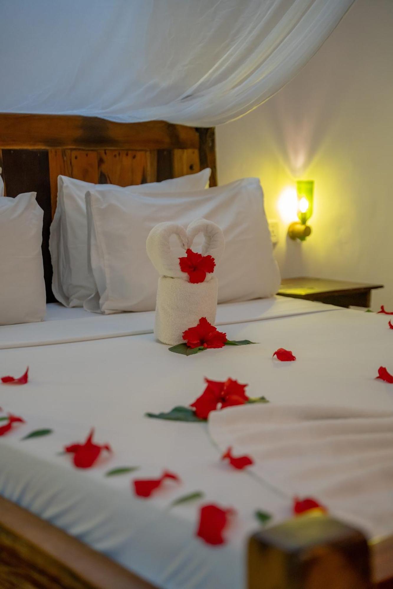 Maisha Nungwi - Boutique Hotel ภายนอก รูปภาพ