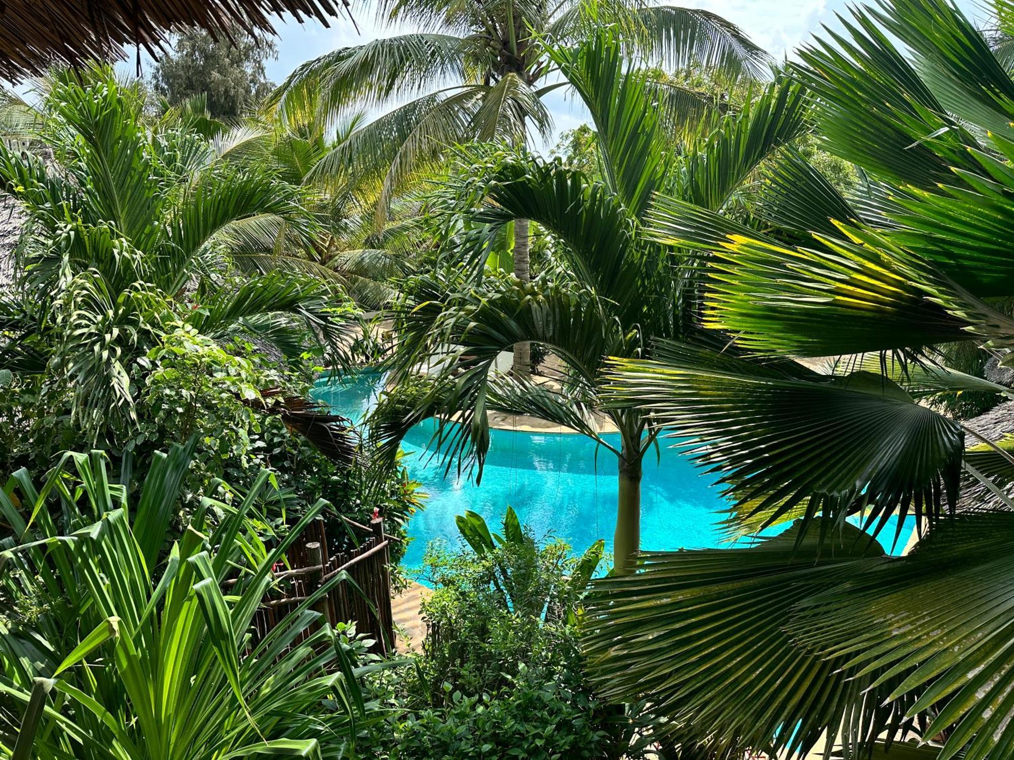 Maisha Nungwi - Boutique Hotel ภายนอก รูปภาพ