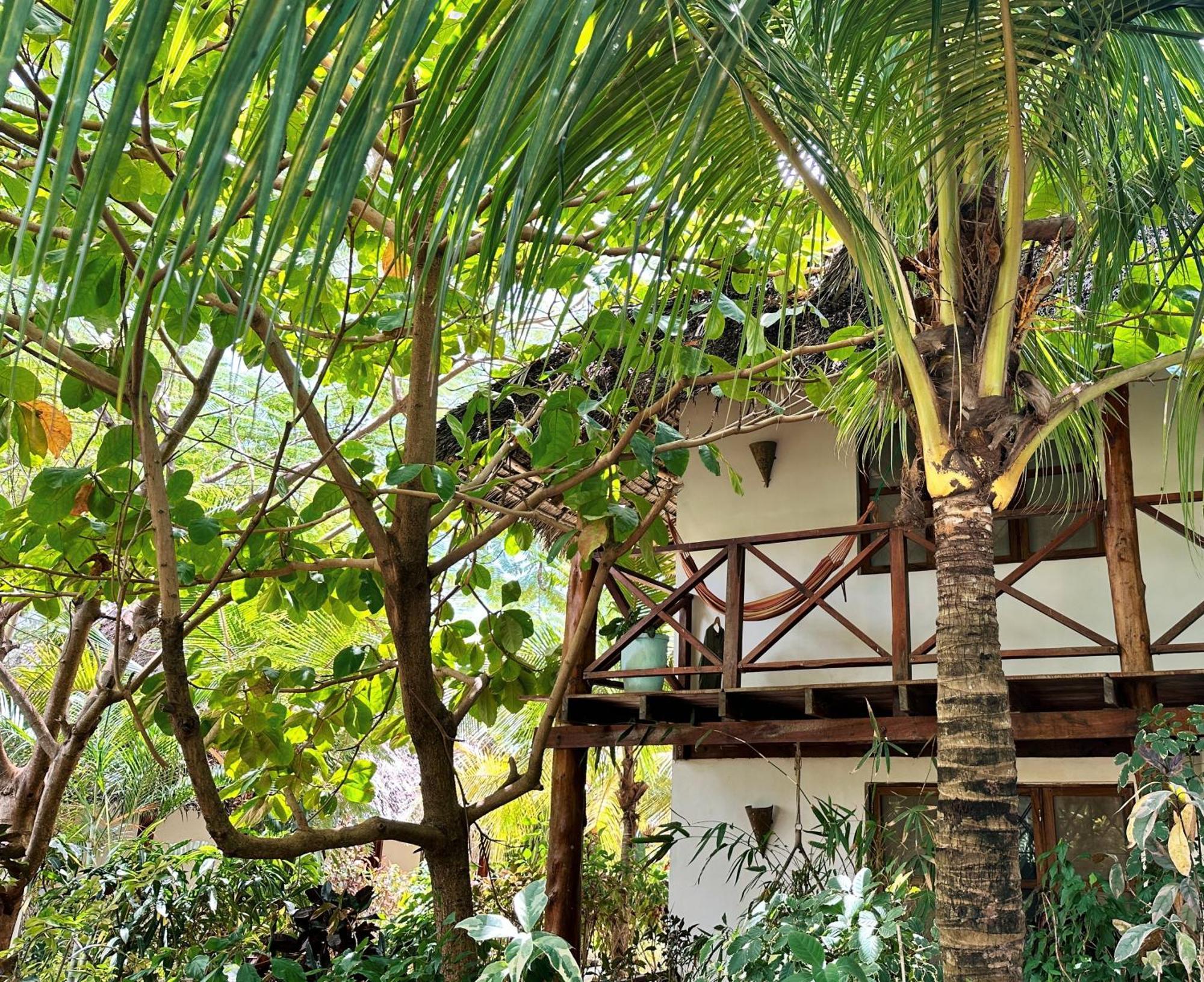 Maisha Nungwi - Boutique Hotel ภายนอก รูปภาพ